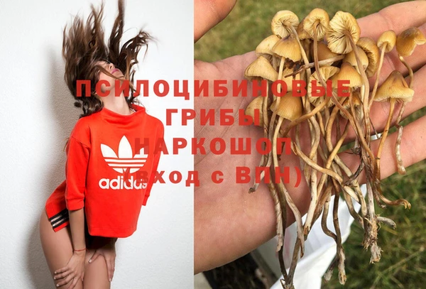 амф Горняк