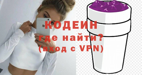 гашик Вяземский