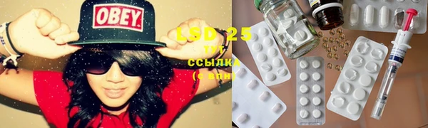 гашик Вяземский