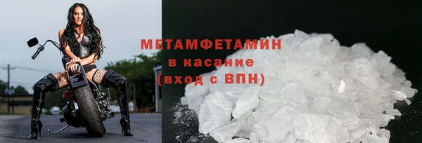 гашик Вяземский