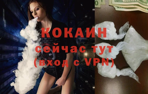 амф Горняк