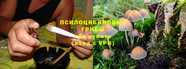 индика Сосновоборск