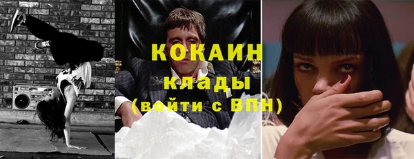 гашик Вяземский